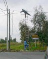 /album/acidentes-no-trabalho/nos-fios-eletricos-jpg/